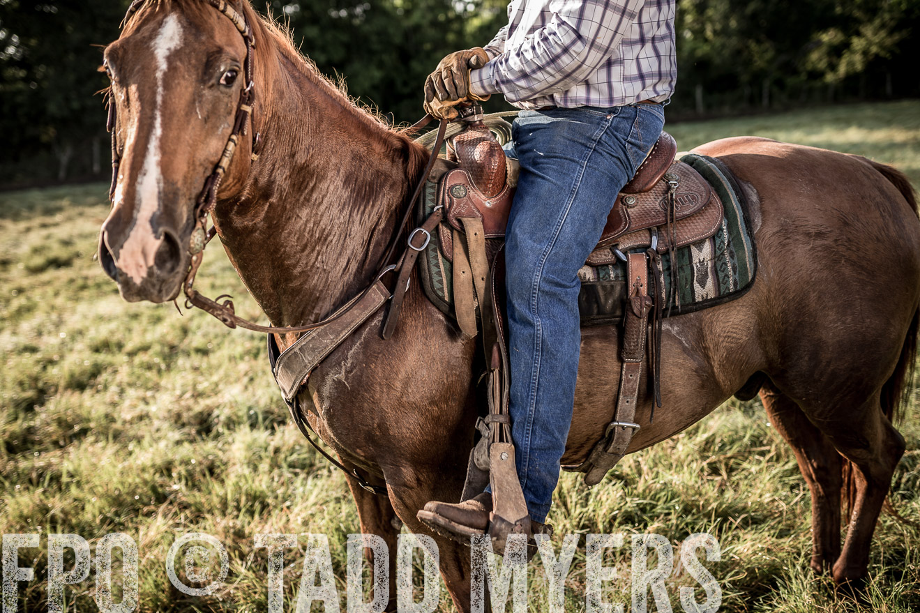 TMyers_CameronTX_June2016-6943