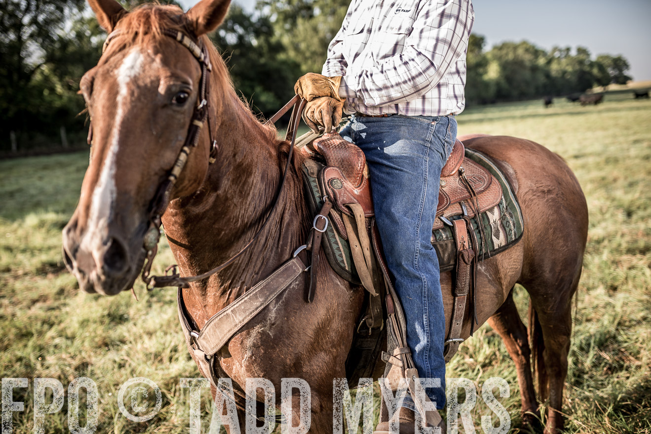 TMyers_CameronTX_June2016-6945