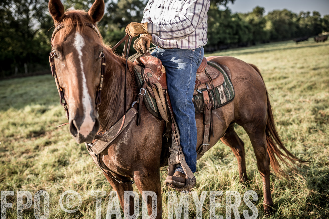 TMyers_CameronTX_June2016-6948