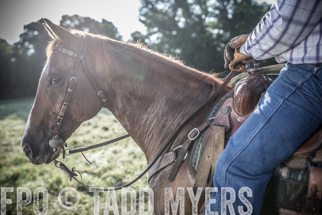TMyers_CameronTX_June2016-7030