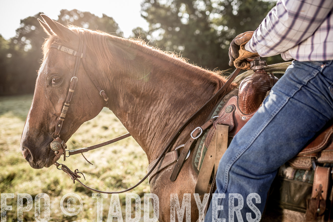 TMyers_CameronTX_June2016-7031