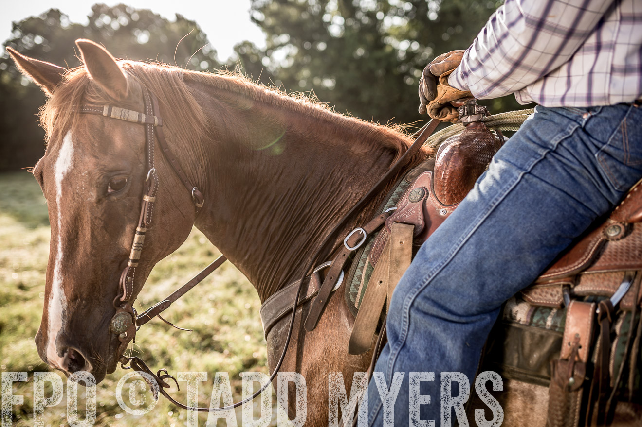 TMyers_CameronTX_June2016-7032