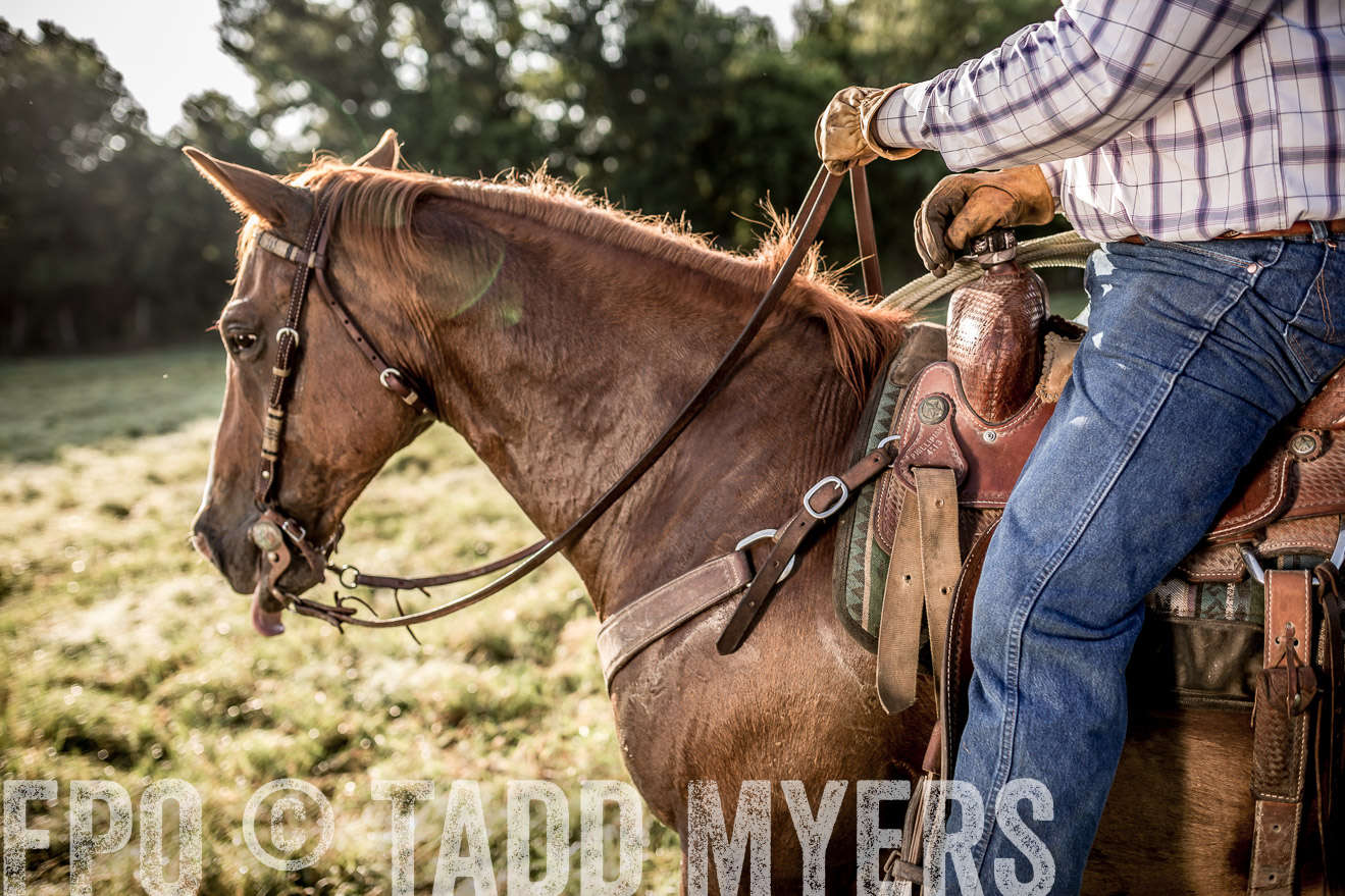 TMyers_CameronTX_June2016-7035