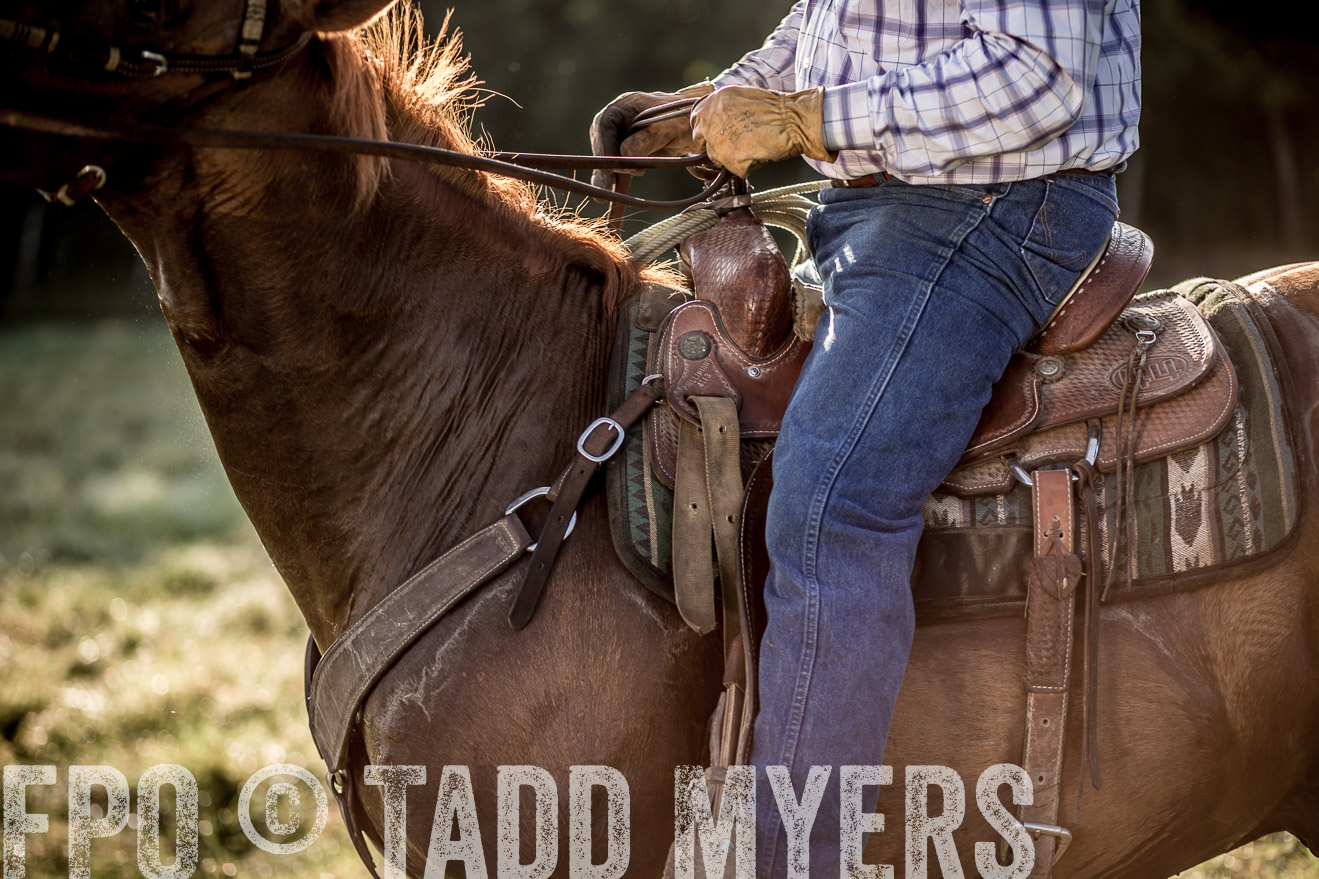 TMyers_CameronTX_June2016-7046