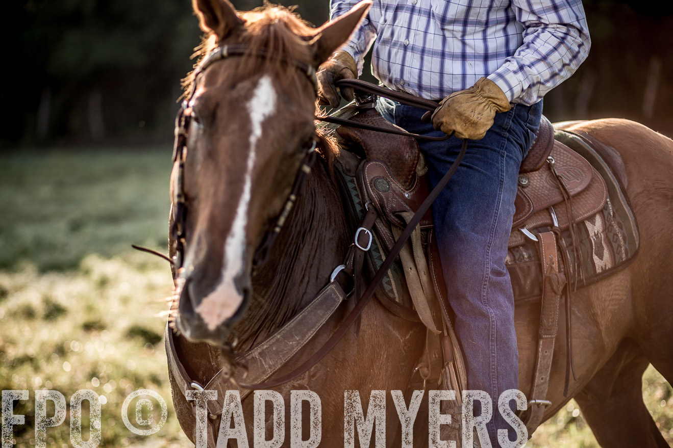 TMyers_CameronTX_June2016-7047