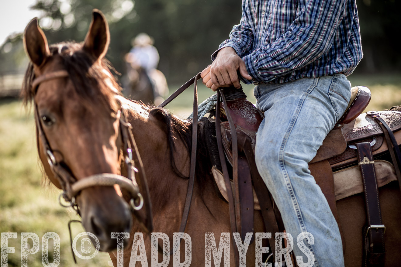 TMyers_CameronTX_June2016-7407