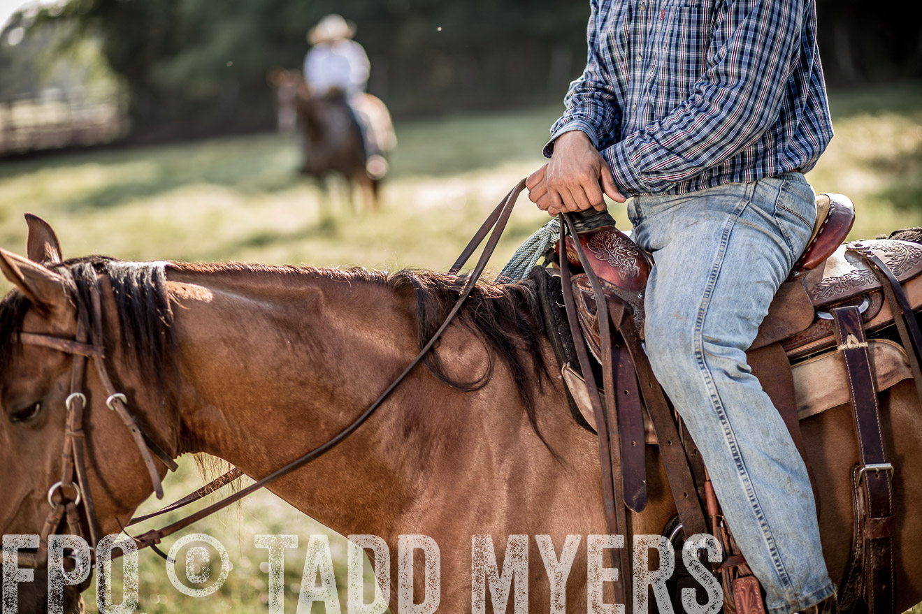 TMyers_CameronTX_June2016-7415