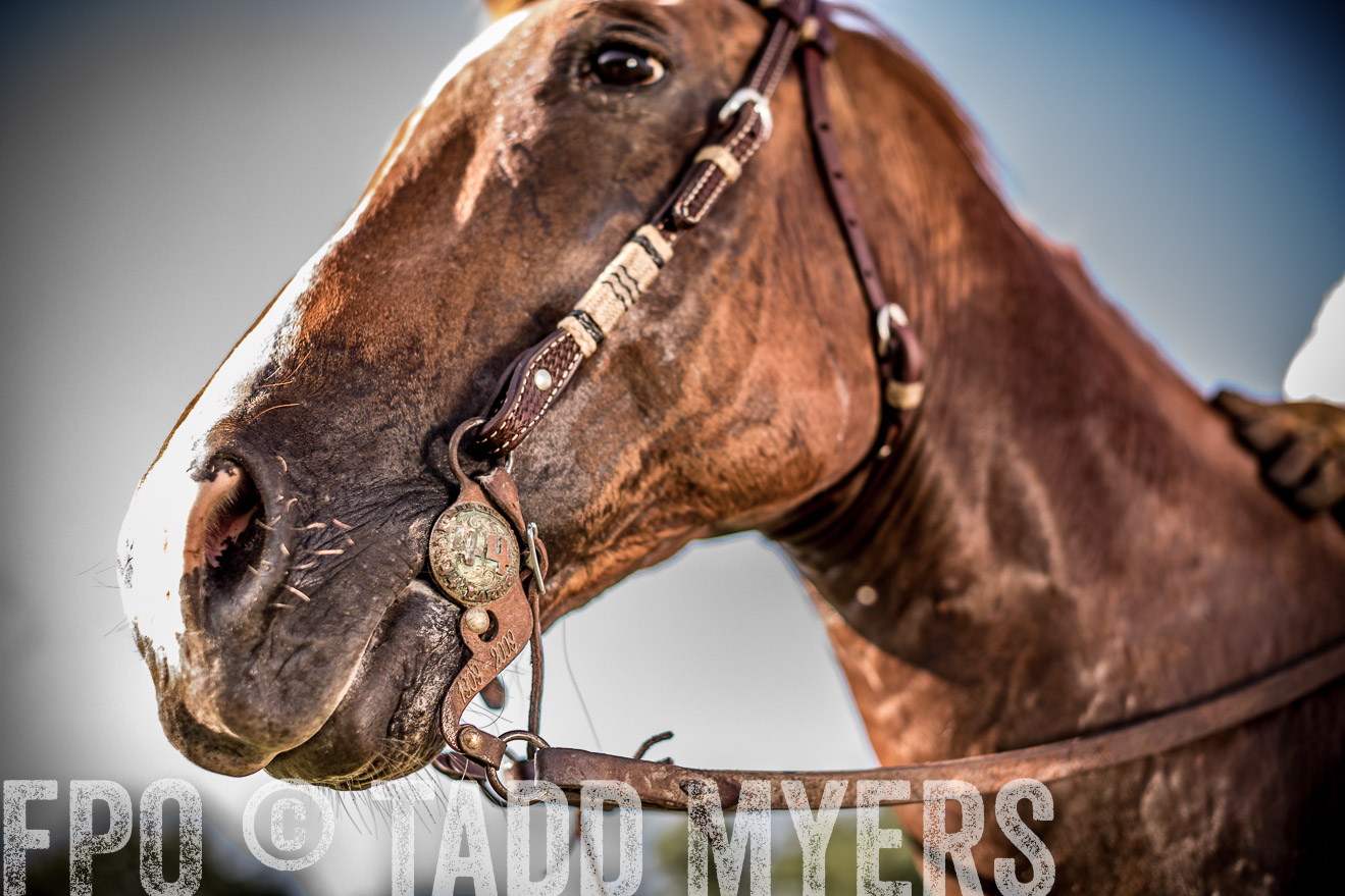 TMyers_CameronTX_June2016-7524