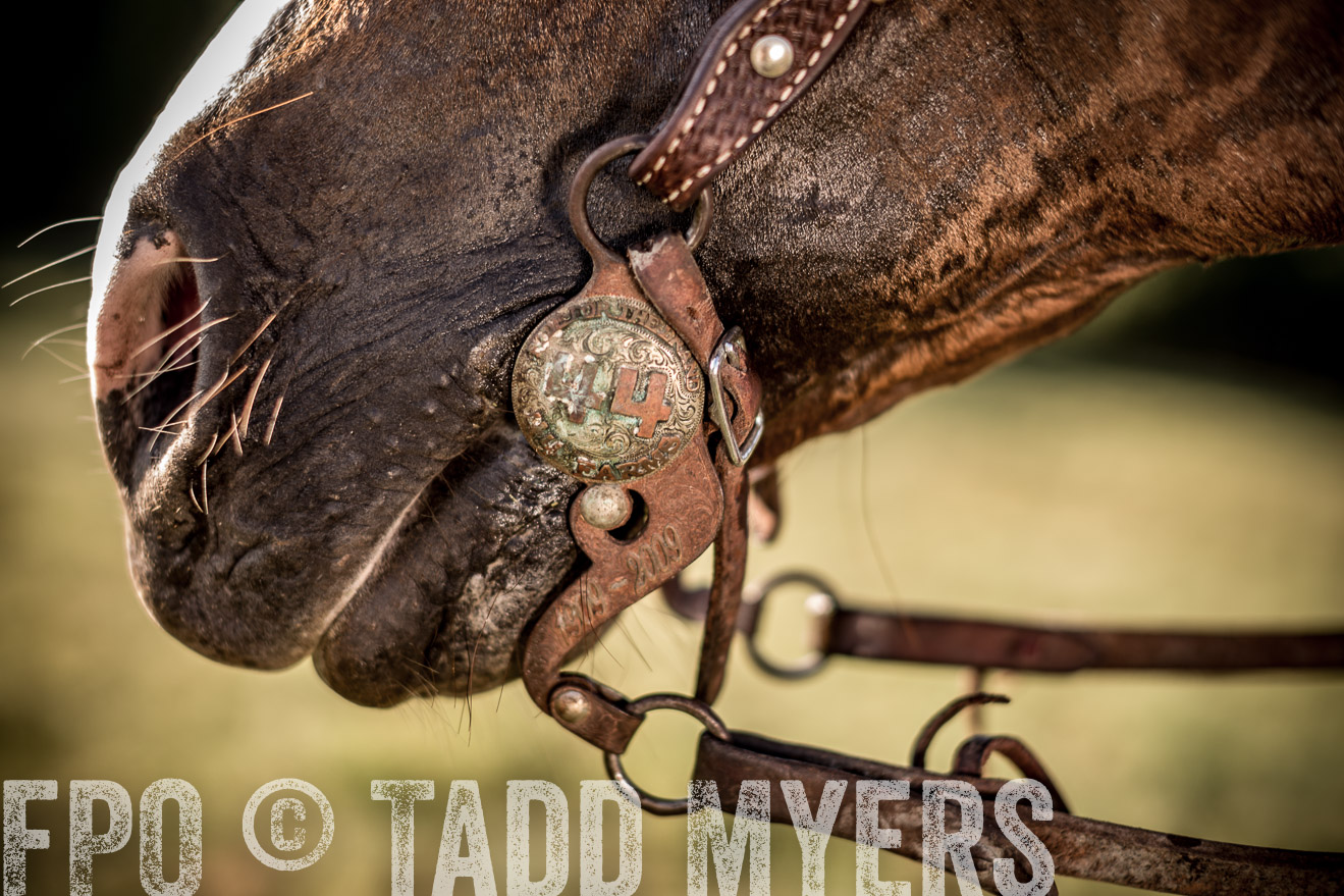 TMyers_CameronTX_June2016-7532