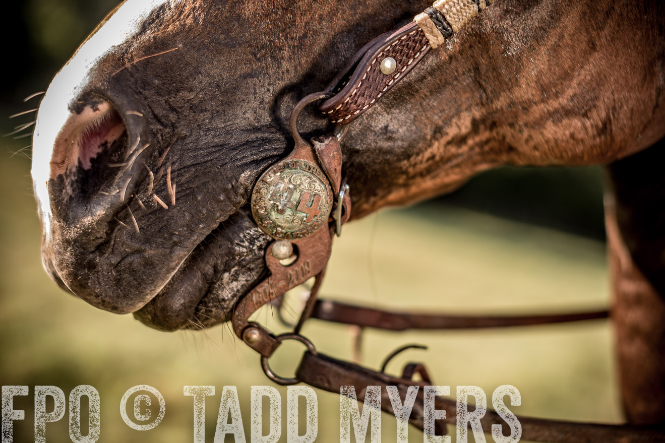 TMyers_CameronTX_June2016-7534