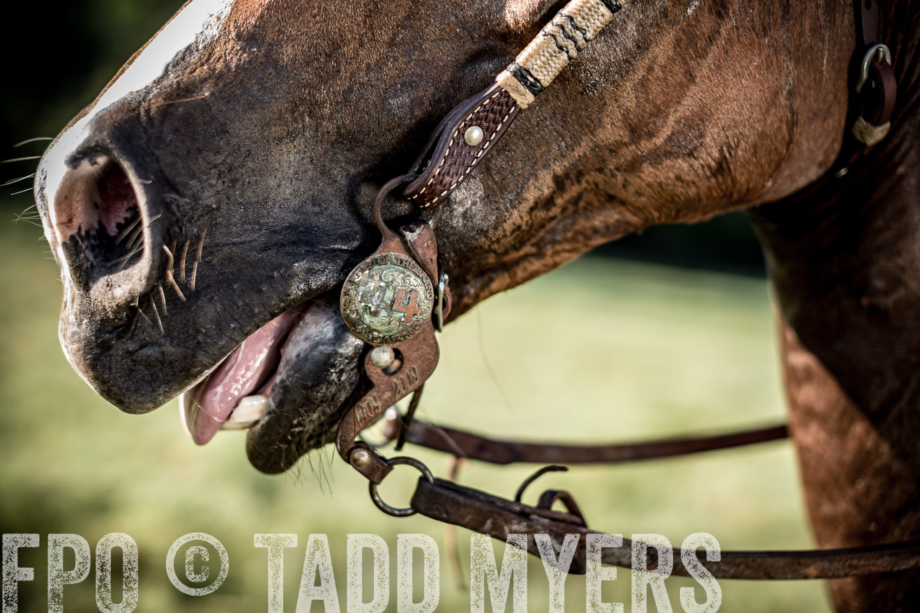 TMyers_CameronTX_June2016-7542