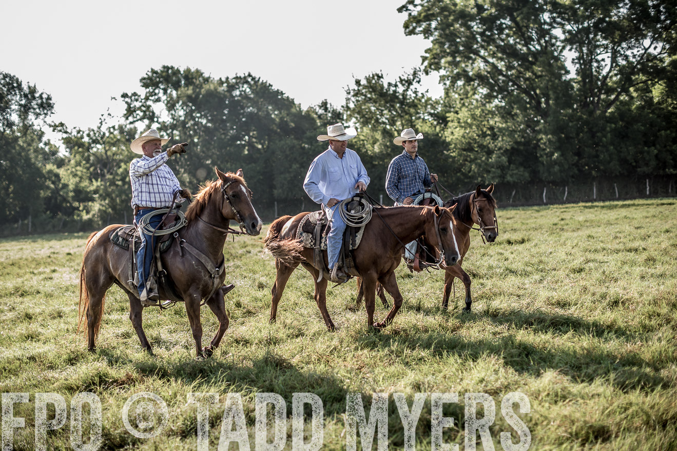 TMyers_CameronTX_June2016-7584