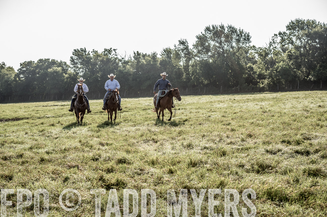 TMyers_CameronTX_June2016-7595