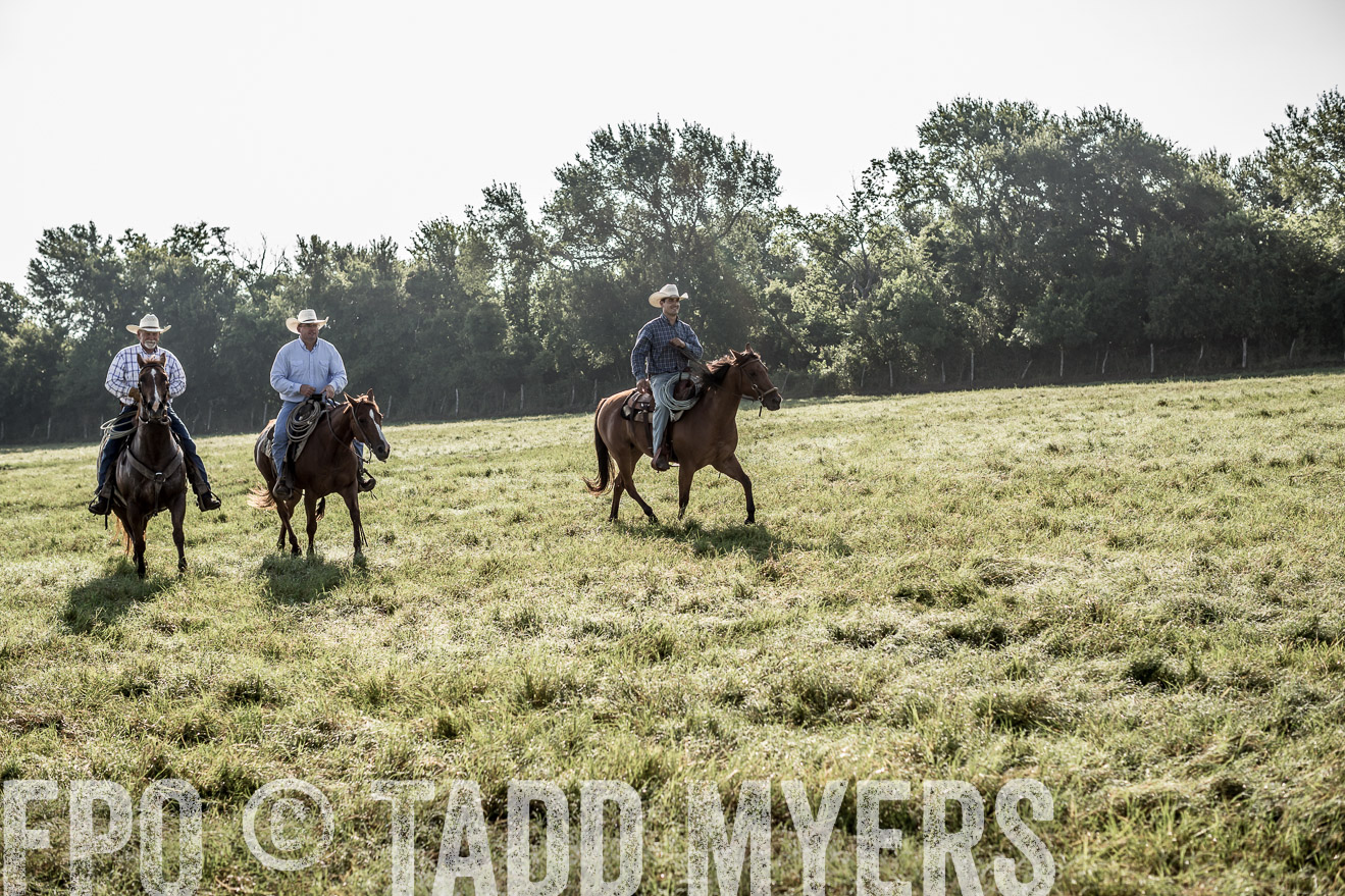 TMyers_CameronTX_June2016-7601