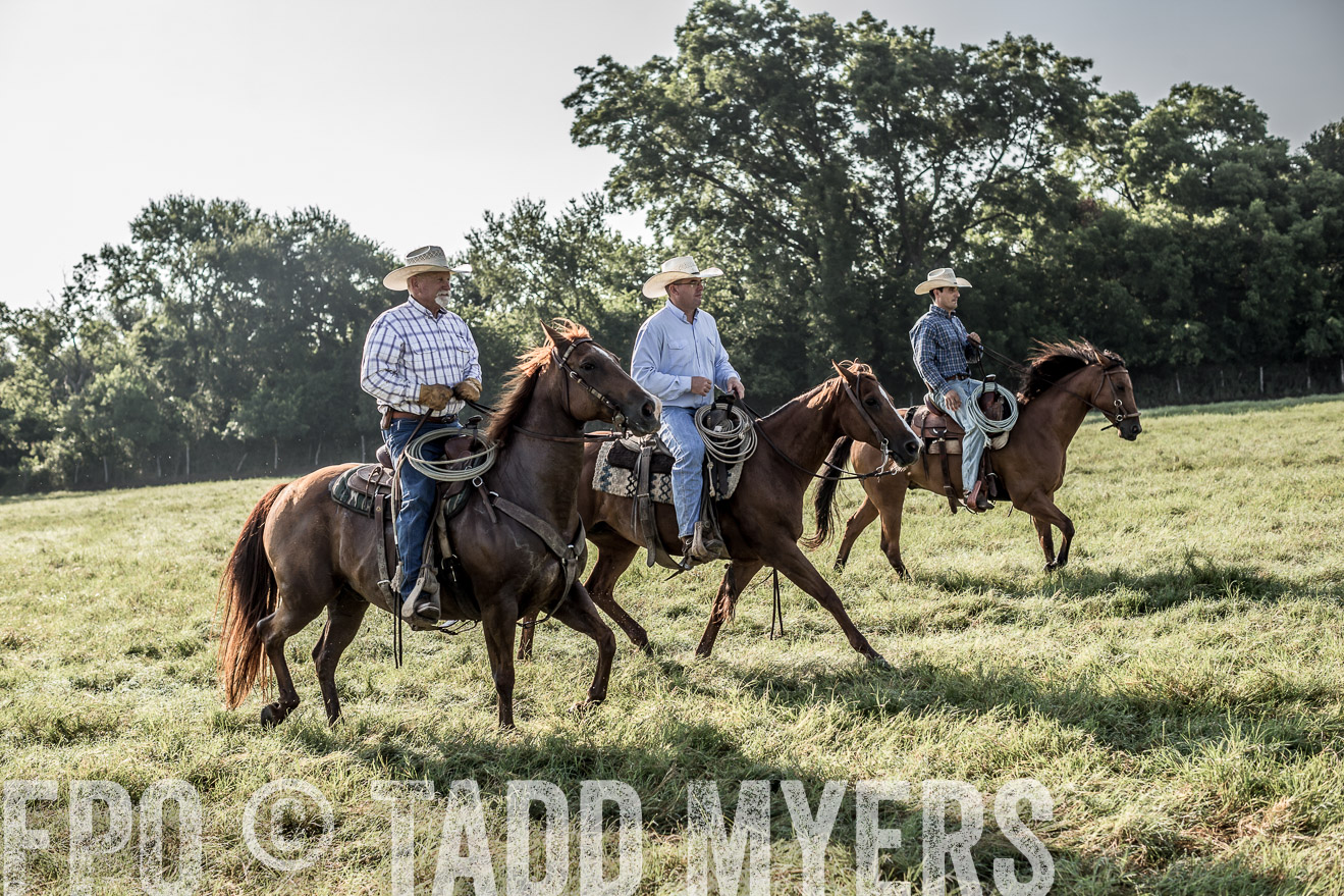 TMyers_CameronTX_June2016-7612