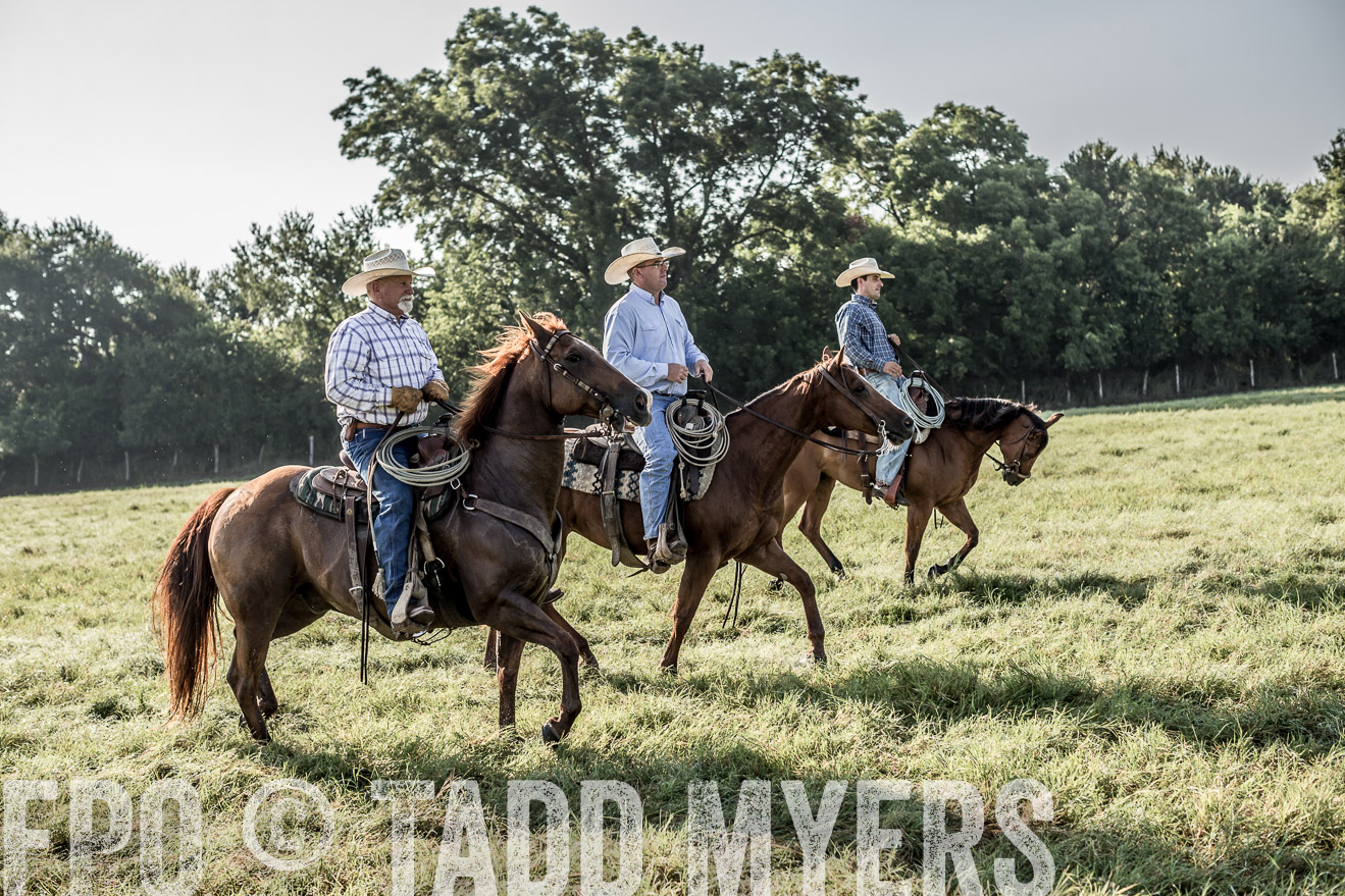 TMyers_CameronTX_June2016-7615
