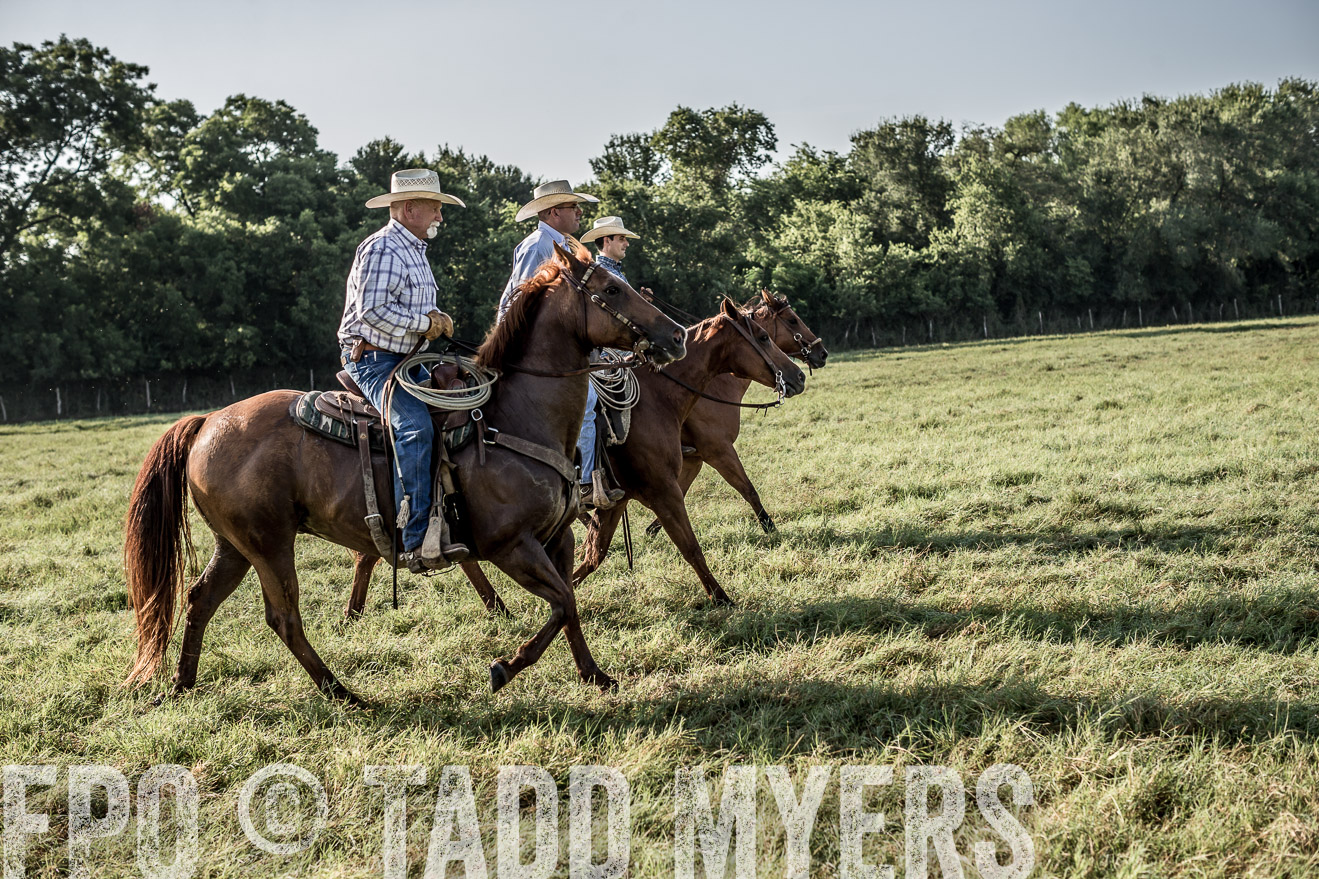 TMyers_CameronTX_June2016-7621