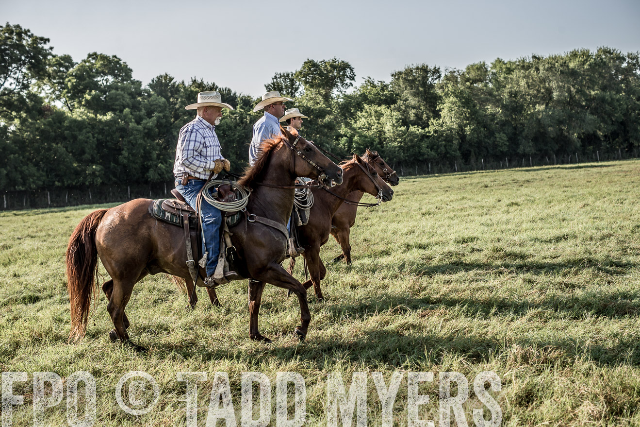 TMyers_CameronTX_June2016-7622