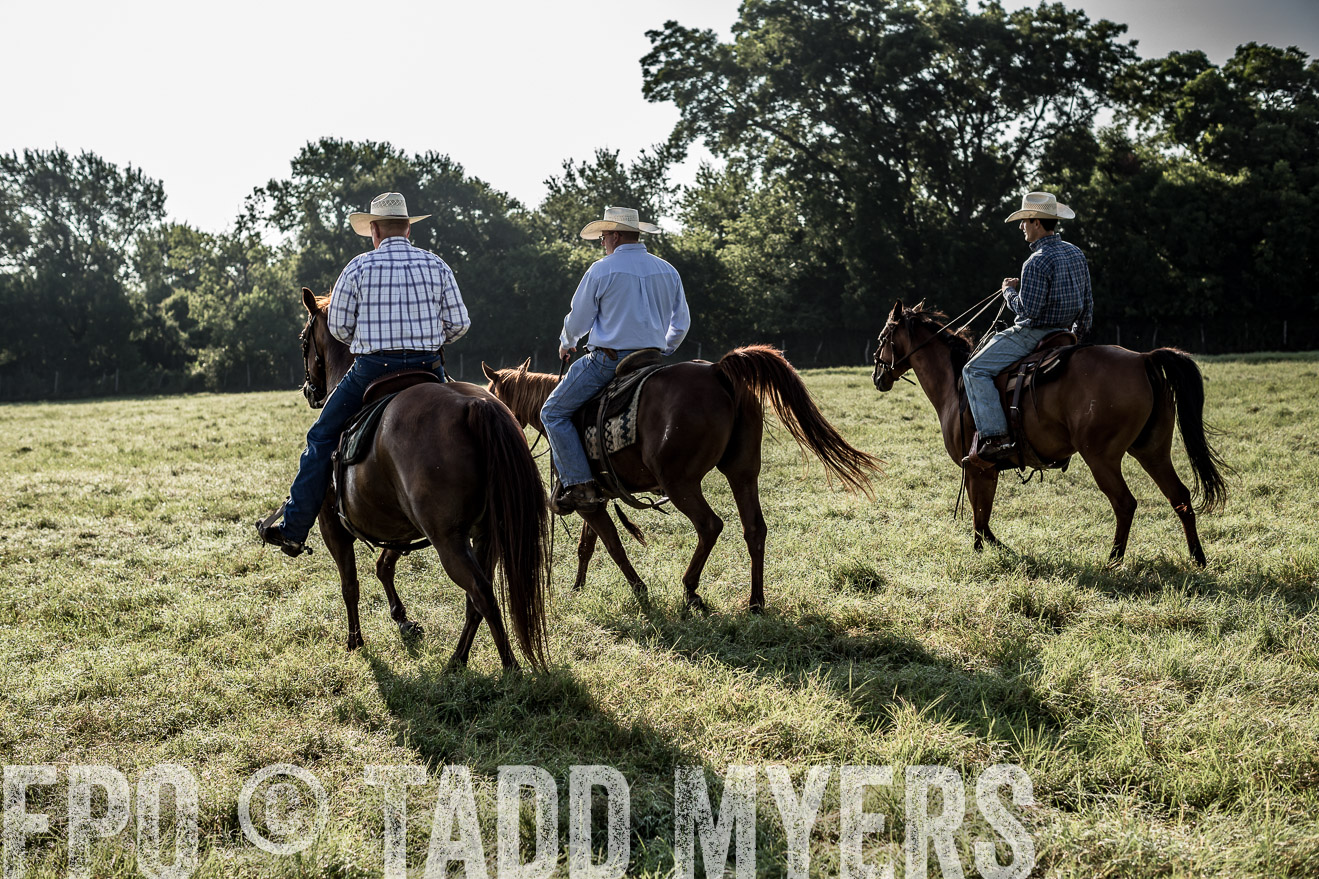 TMyers_CameronTX_June2016-7642