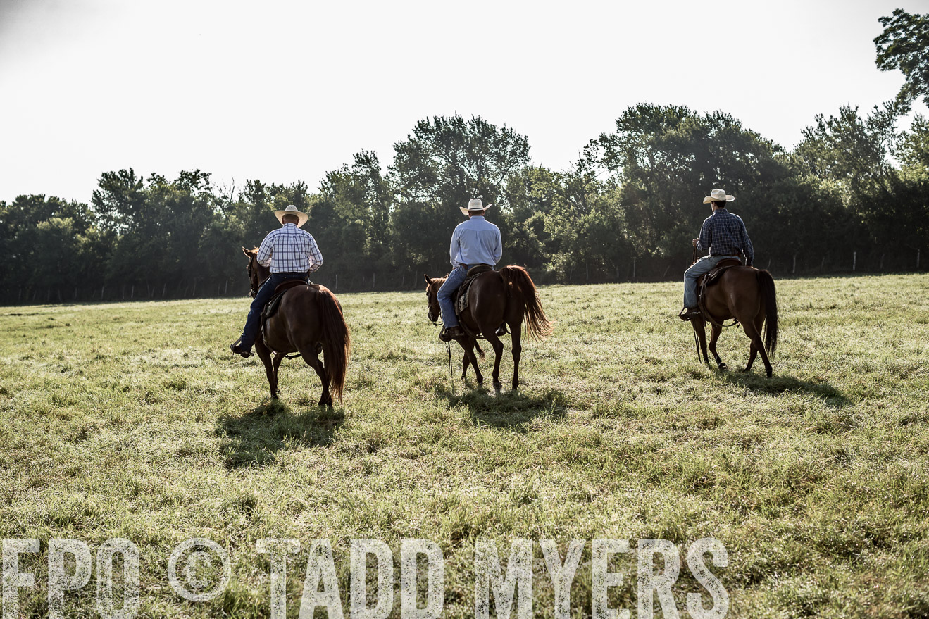 TMyers_CameronTX_June2016-7648