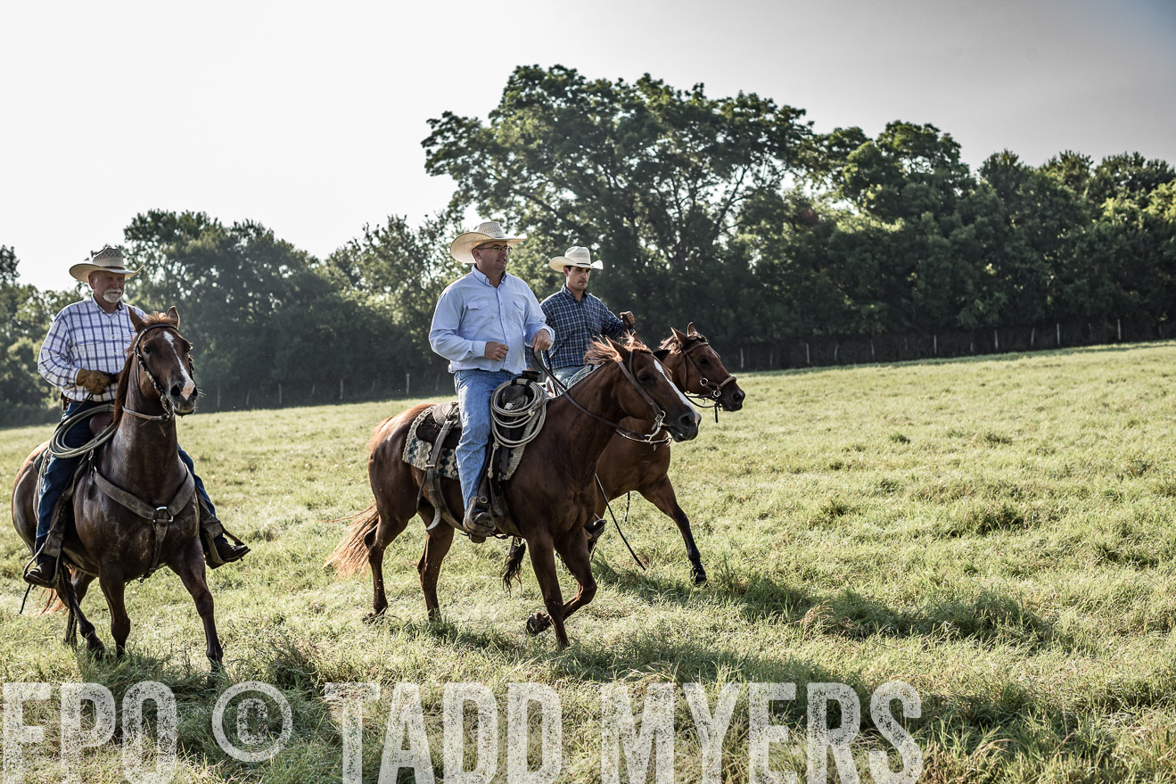 TMyers_CameronTX_June2016-7702