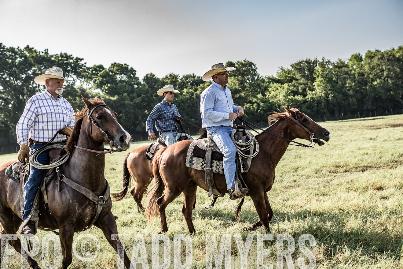 TMyers_CameronTX_June2016-7710