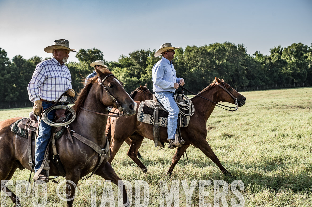 TMyers_CameronTX_June2016-7715