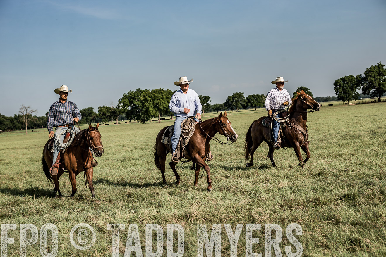 TMyers_CameronTX_June2016-7738