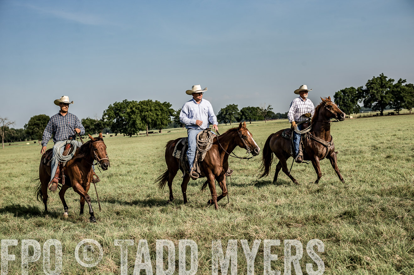 TMyers_CameronTX_June2016-7740