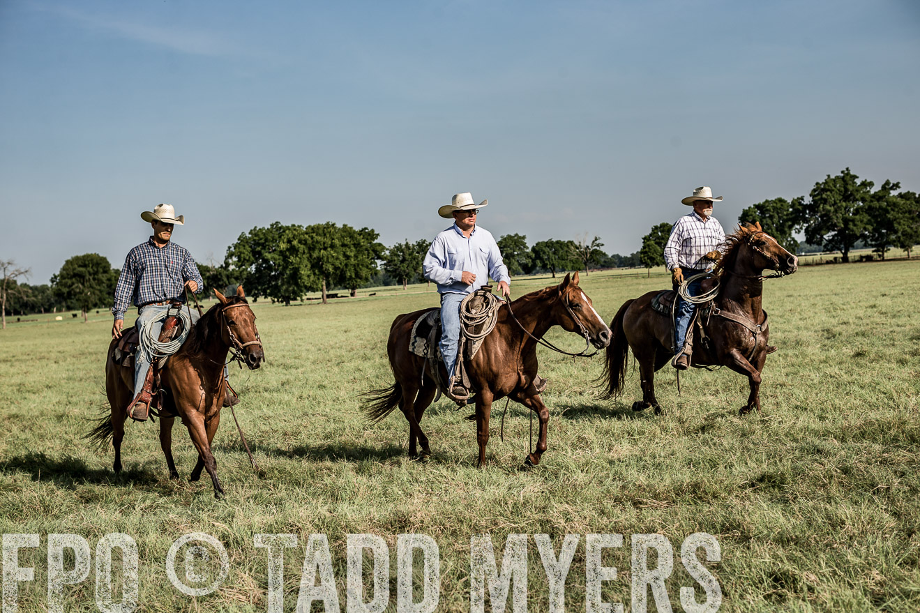 TMyers_CameronTX_June2016-7741