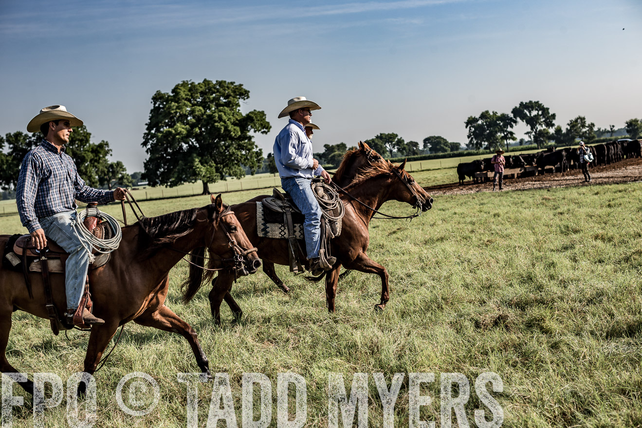 TMyers_CameronTX_June2016-7758