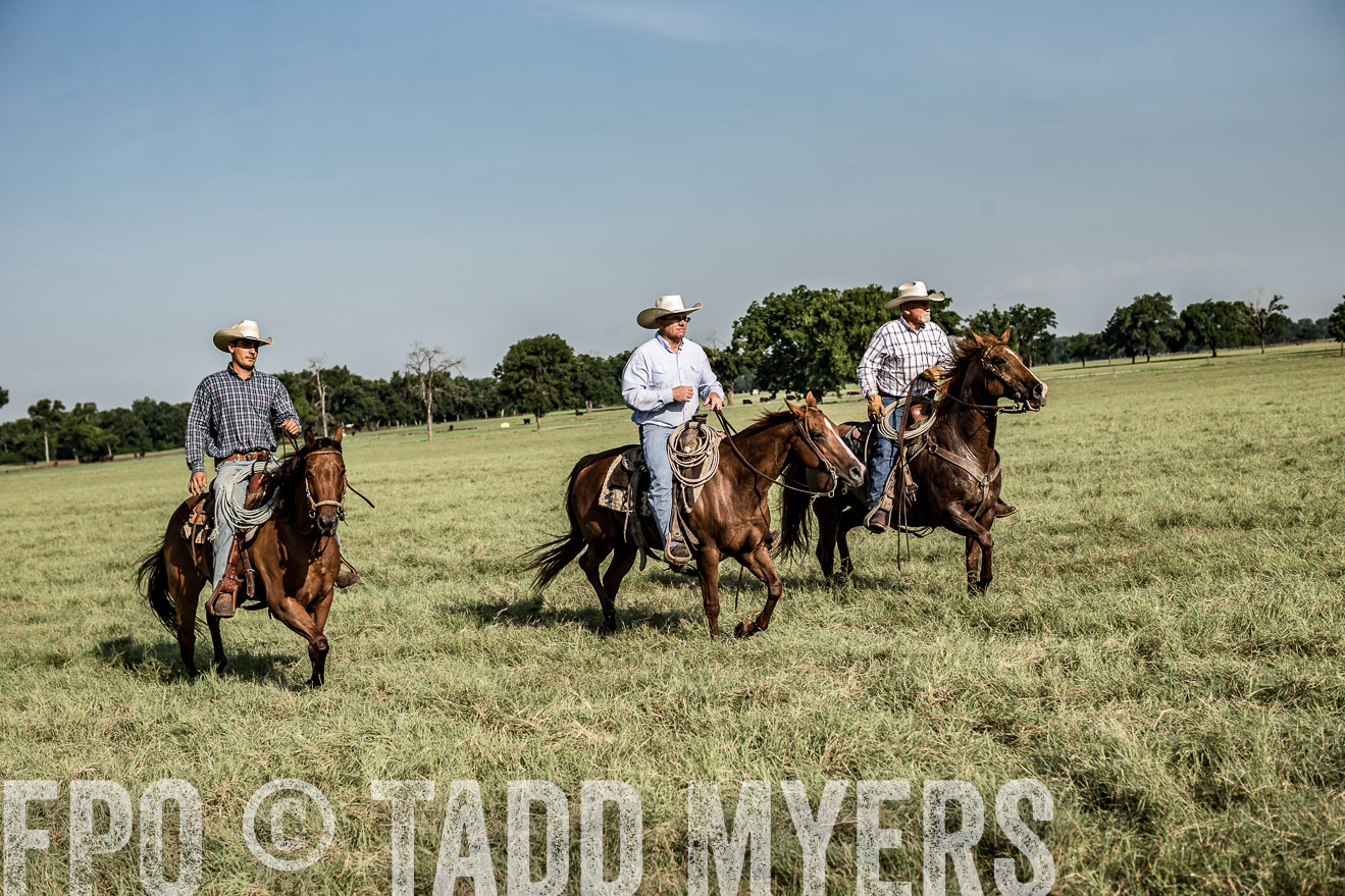 TMyers_CameronTX_June2016-7784