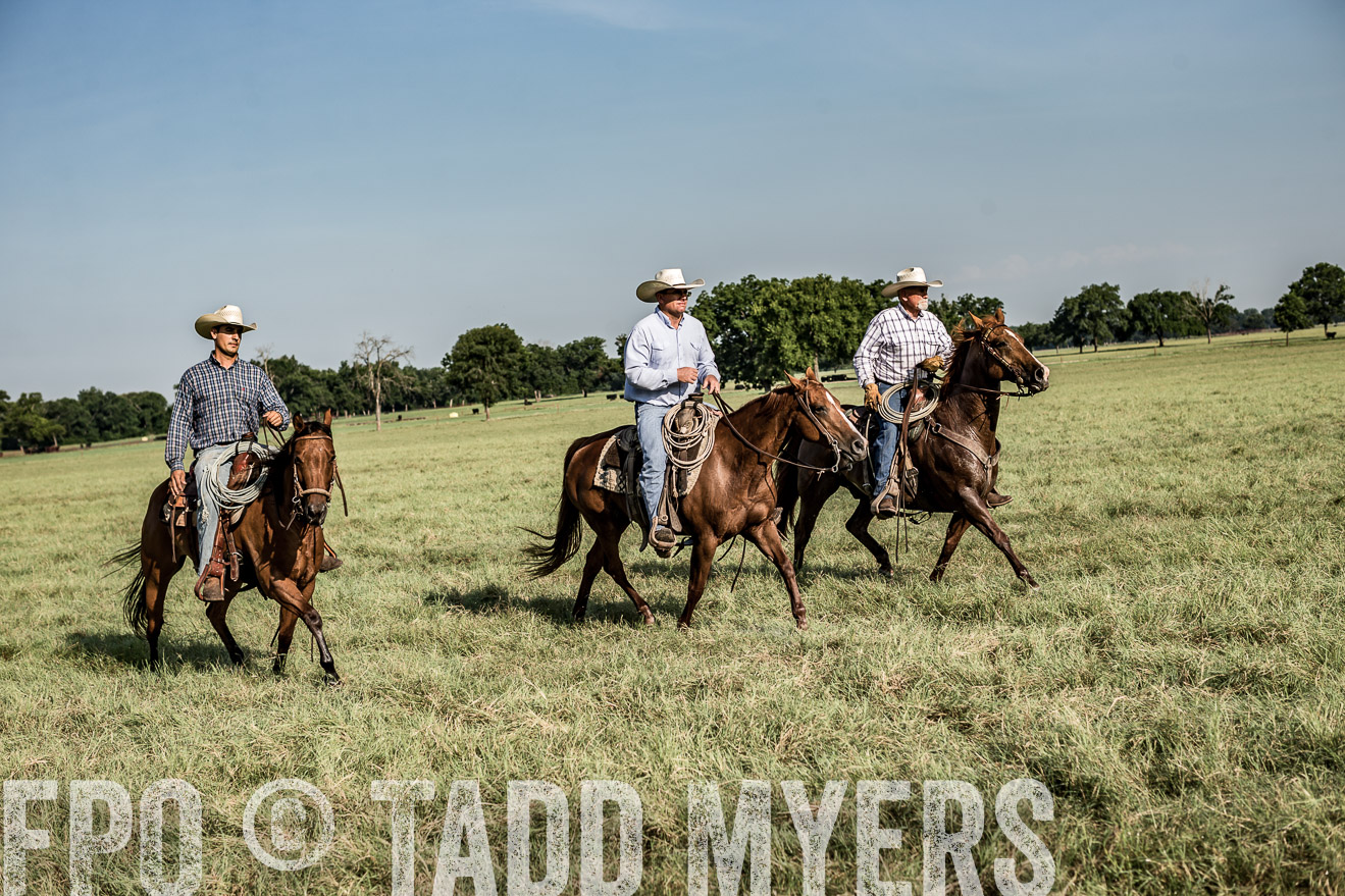 TMyers_CameronTX_June2016-7785