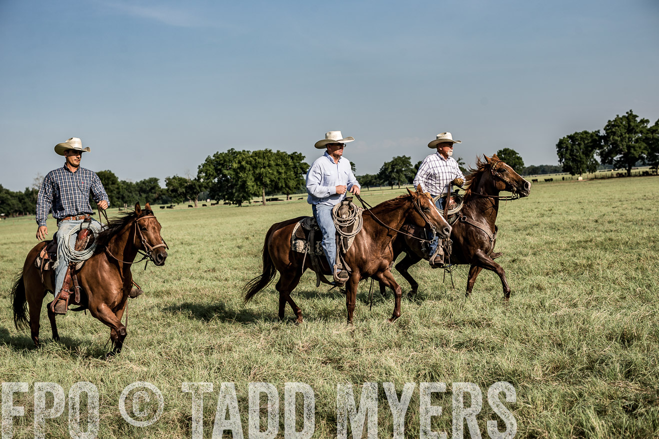 TMyers_CameronTX_June2016-7788