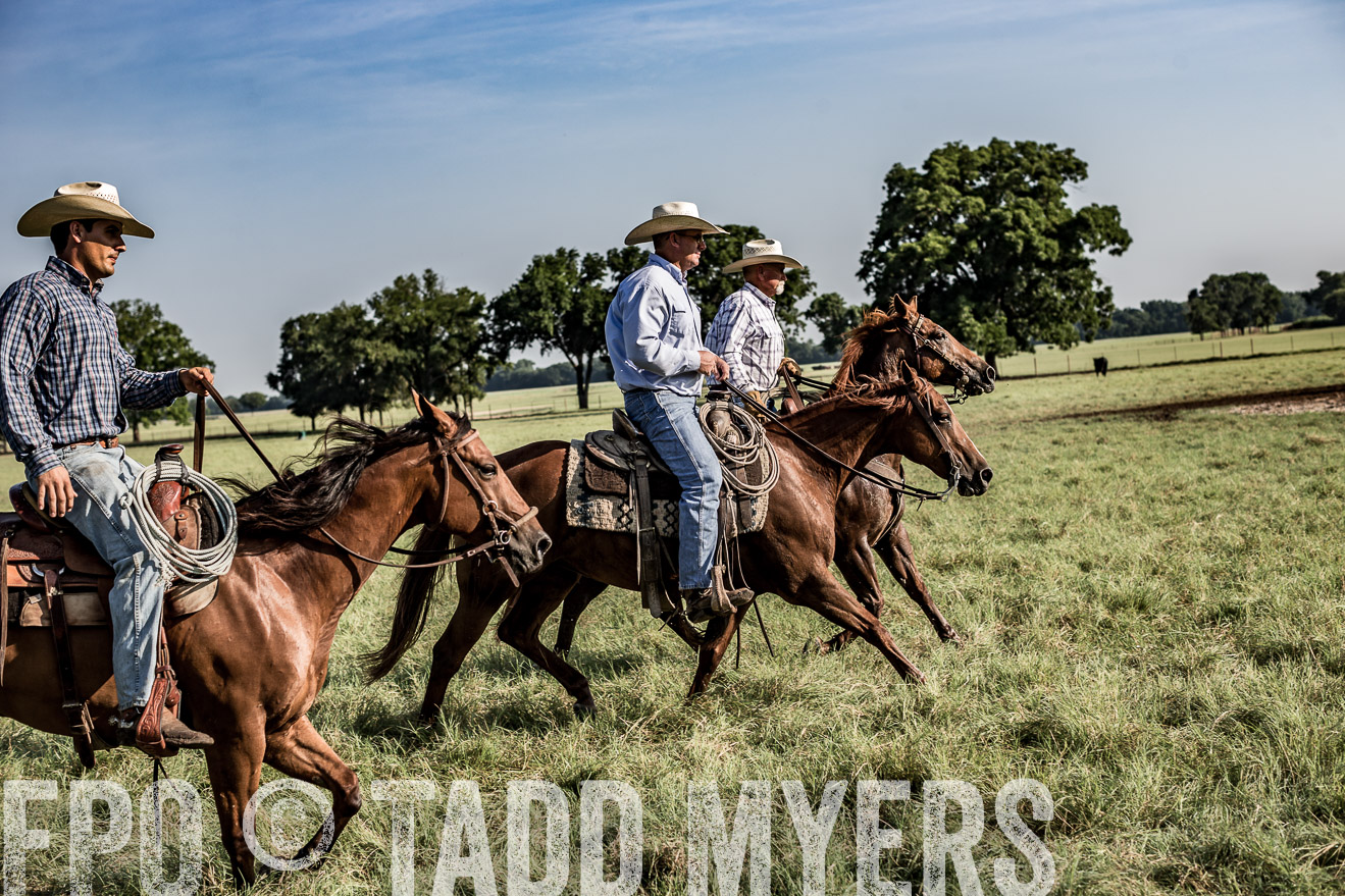 TMyers_CameronTX_June2016-7797