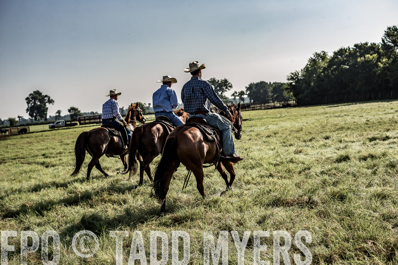 TMyers_CameronTX_June2016-7811