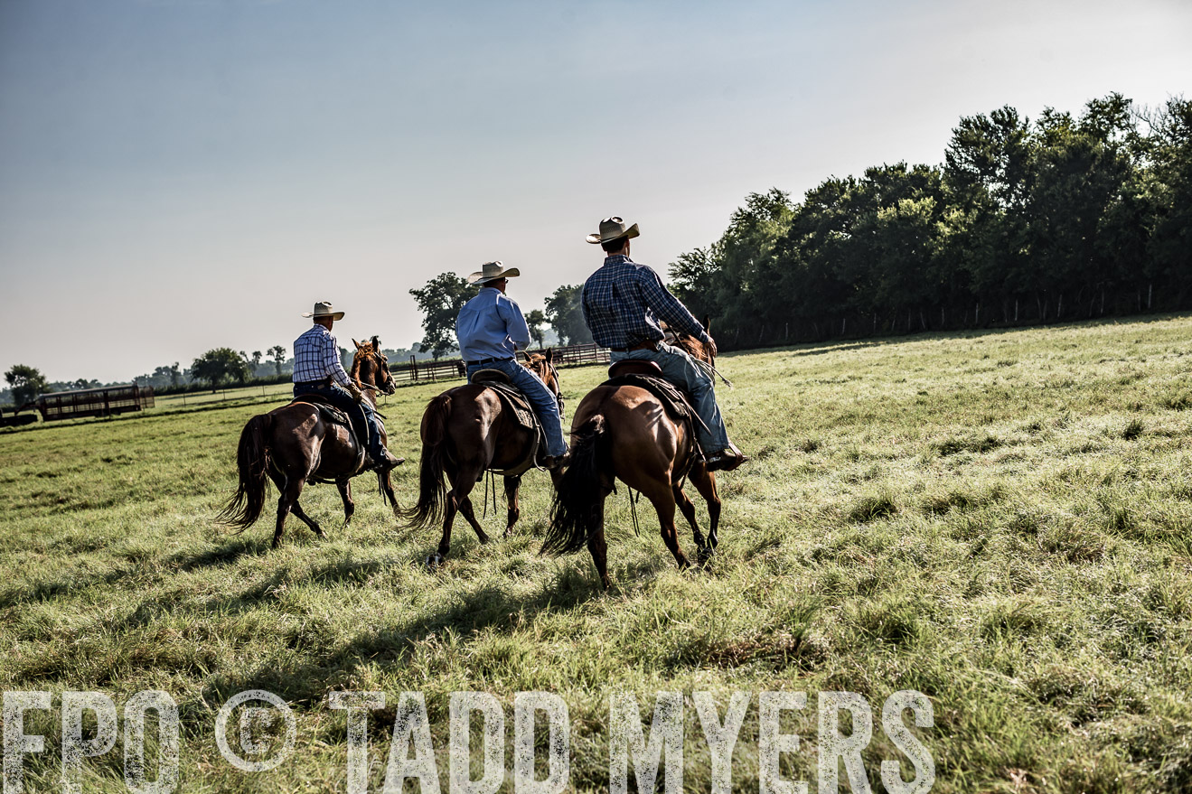 TMyers_CameronTX_June2016-7814