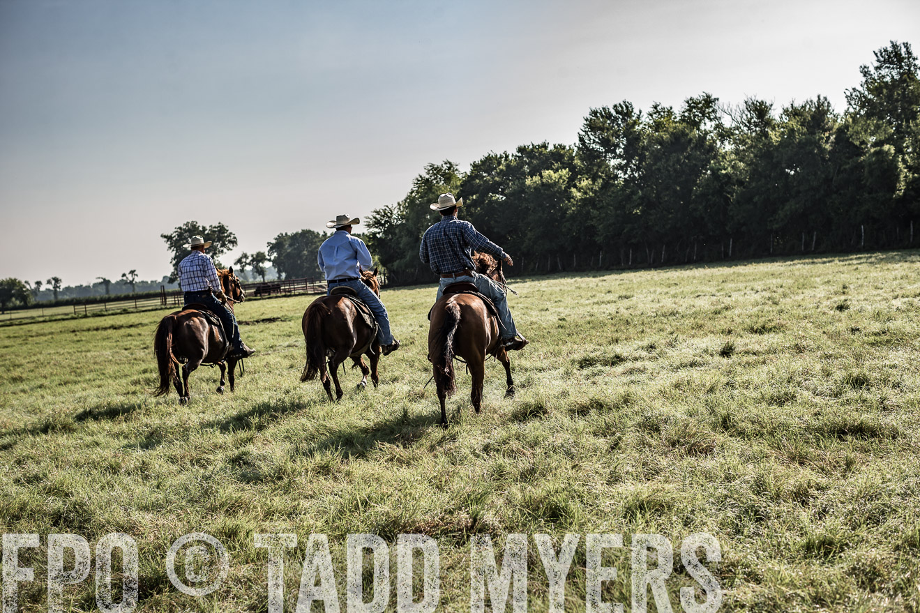 TMyers_CameronTX_June2016-7818