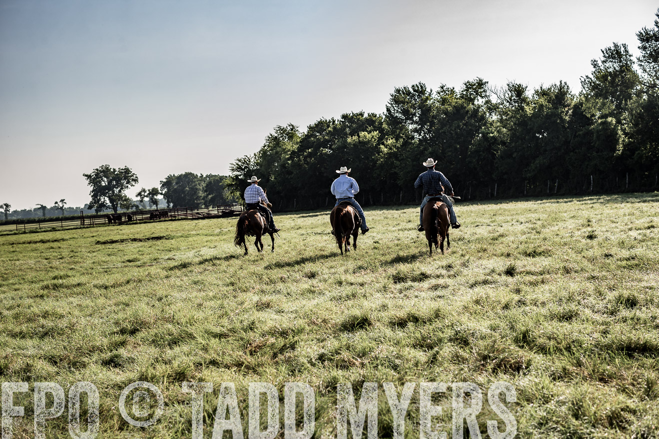 TMyers_CameronTX_June2016-7832