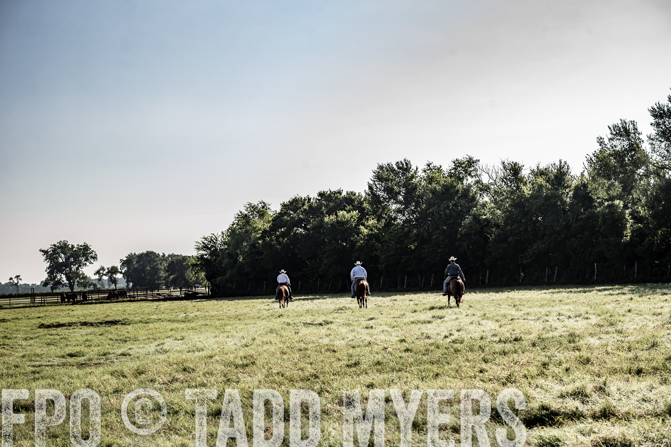 TMyers_CameronTX_June2016-7852