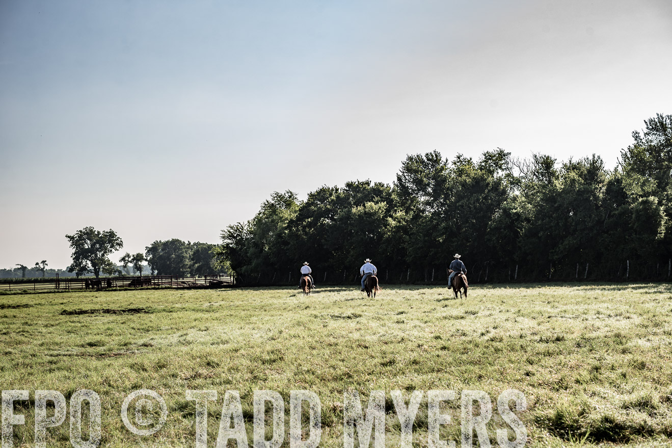 TMyers_CameronTX_June2016-7858
