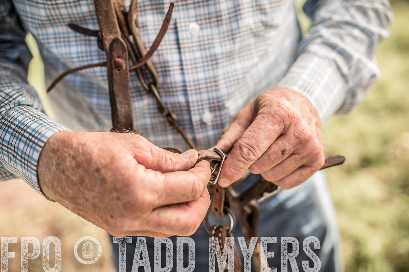 TMyers_CameronTX_June2016-8553