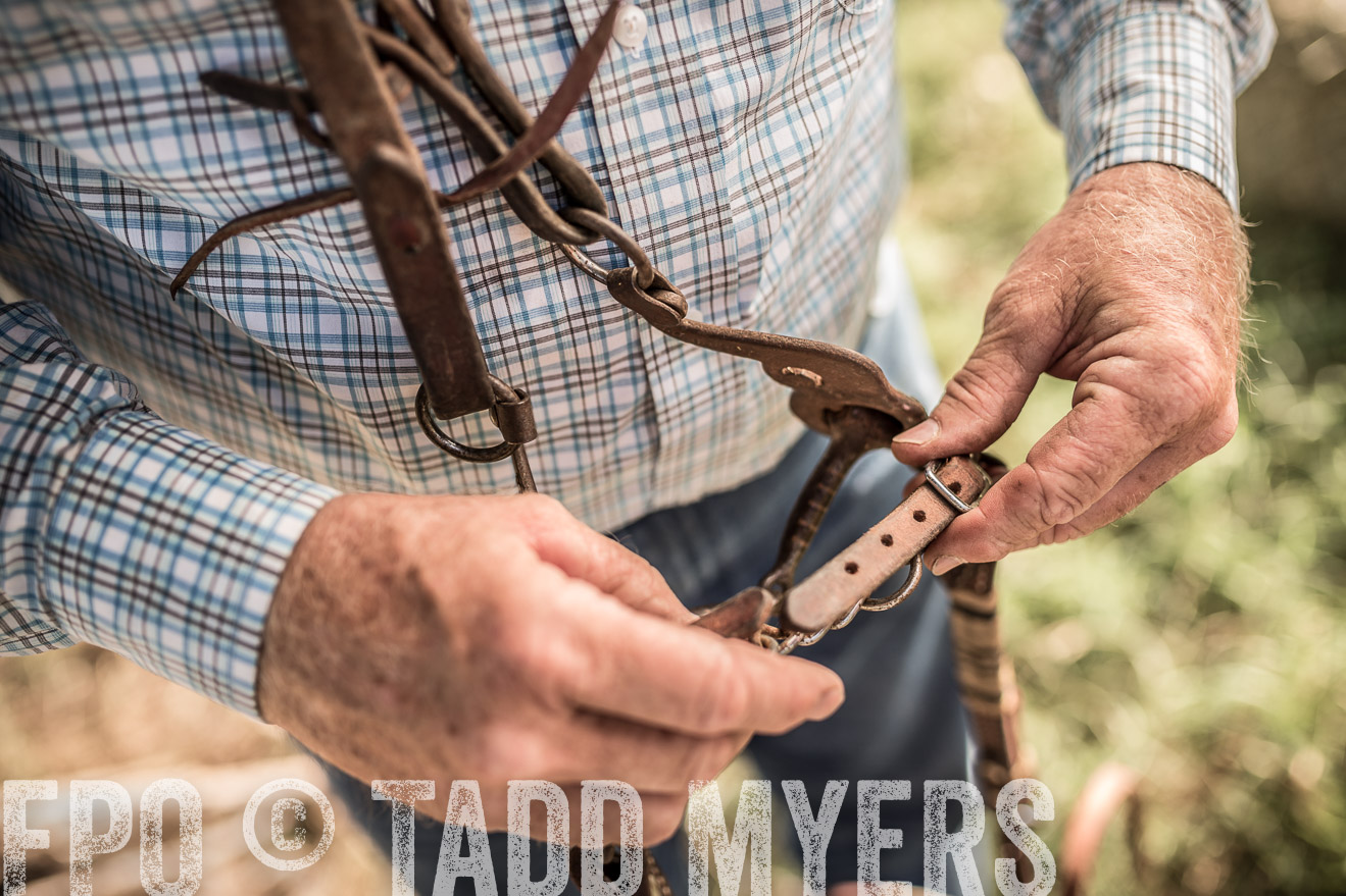 TMyers_CameronTX_June2016-8558