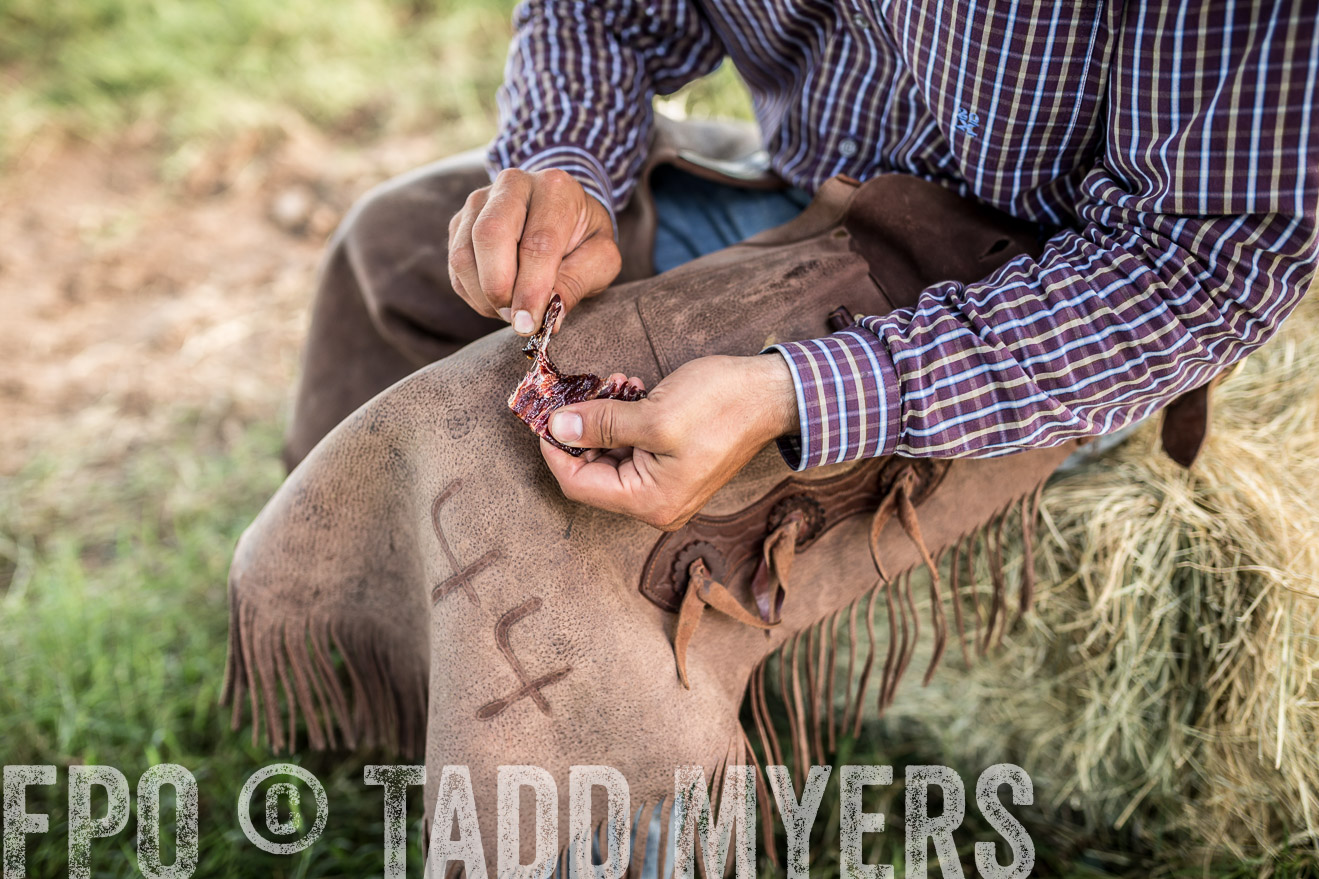 TMyers_CameronTX_June2016-8781