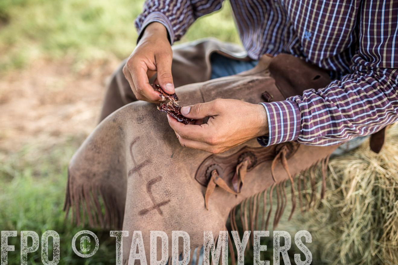 TMyers_CameronTX_June2016-8793