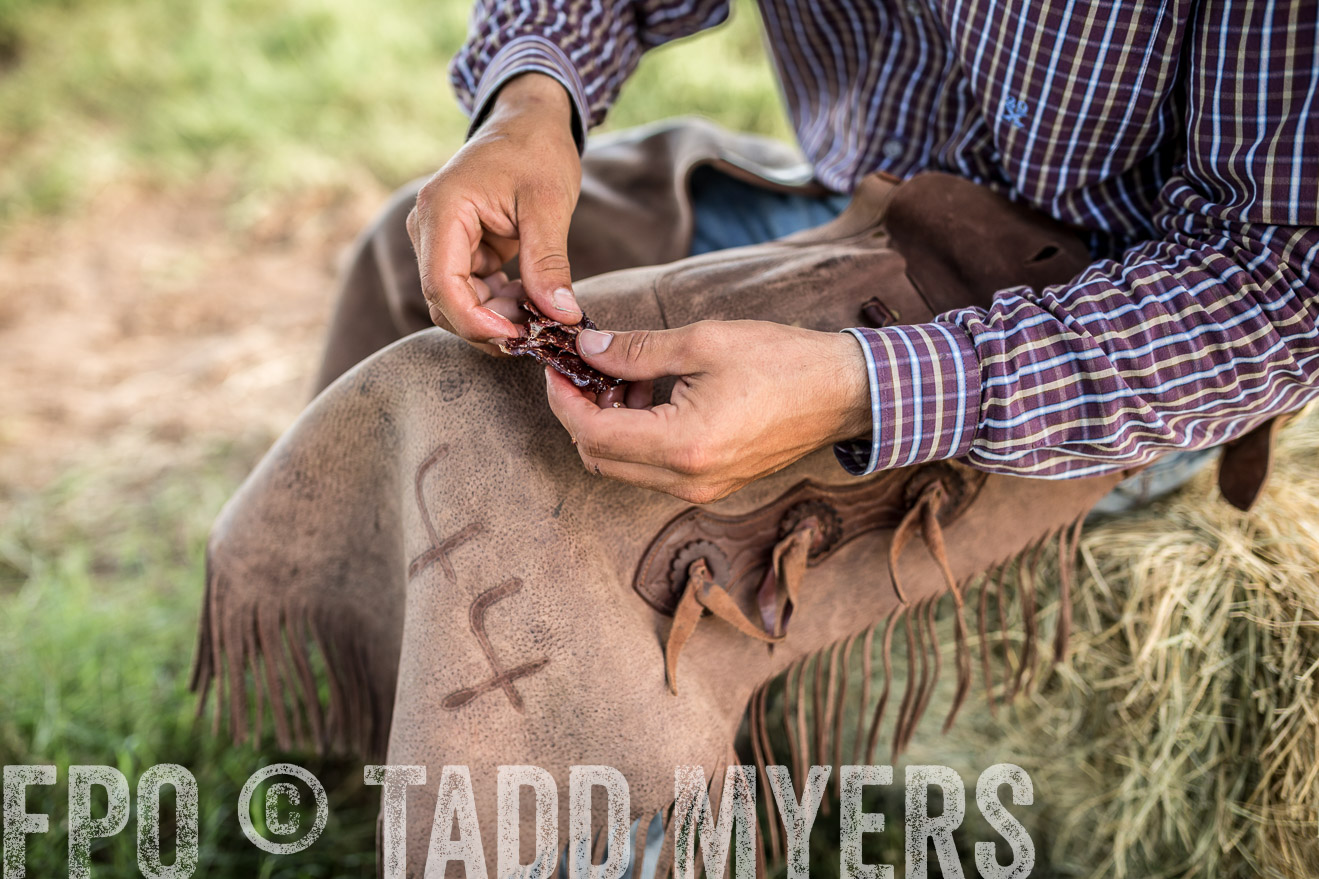 TMyers_CameronTX_June2016-8795
