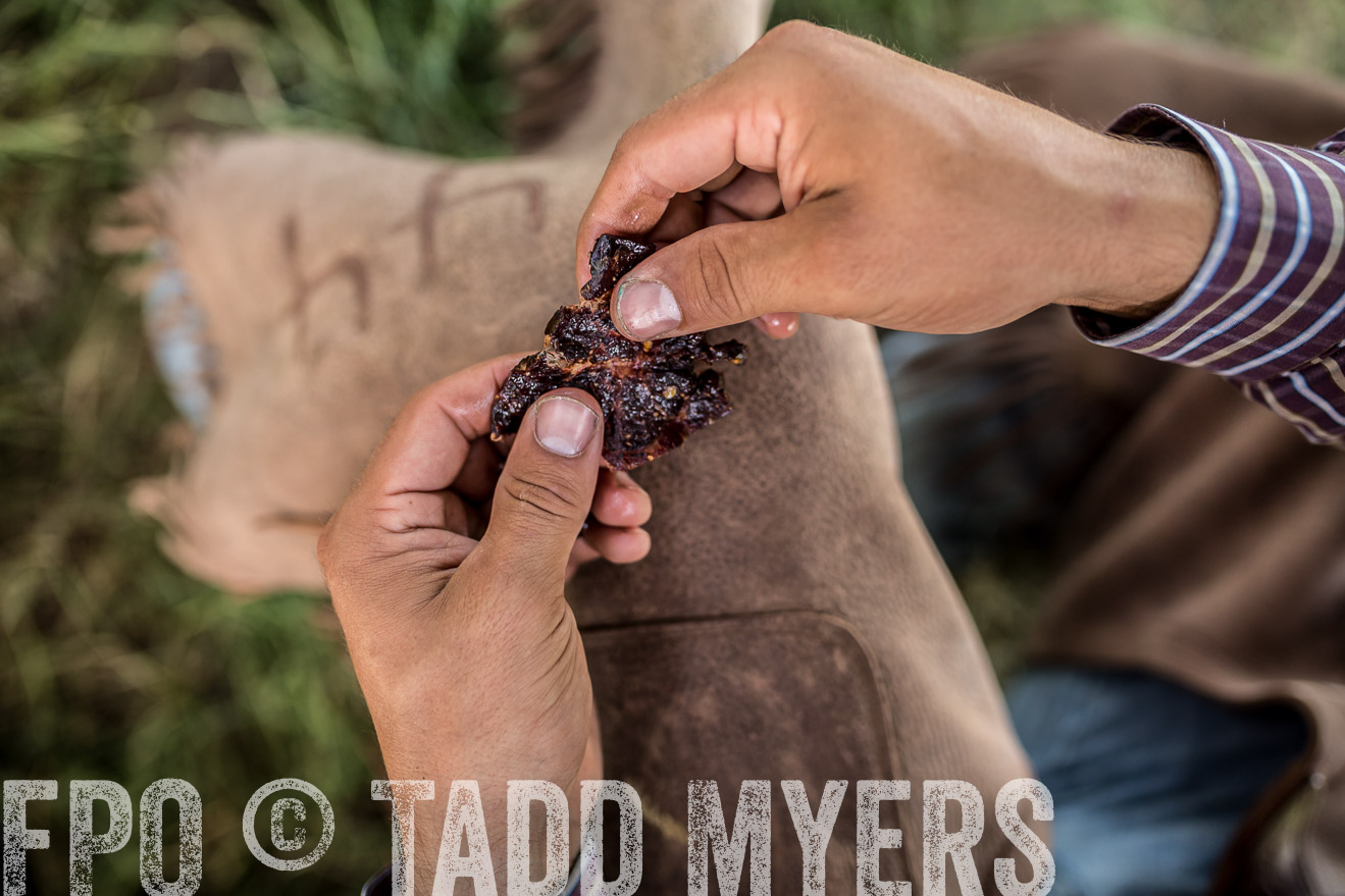 TMyers_CameronTX_June2016-8812