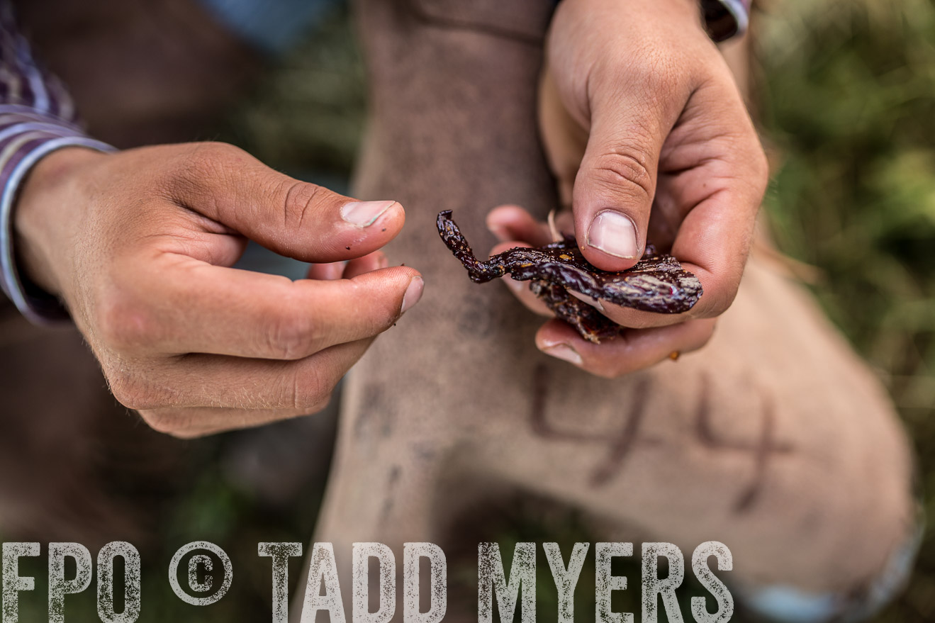 TMyers_CameronTX_June2016-8840