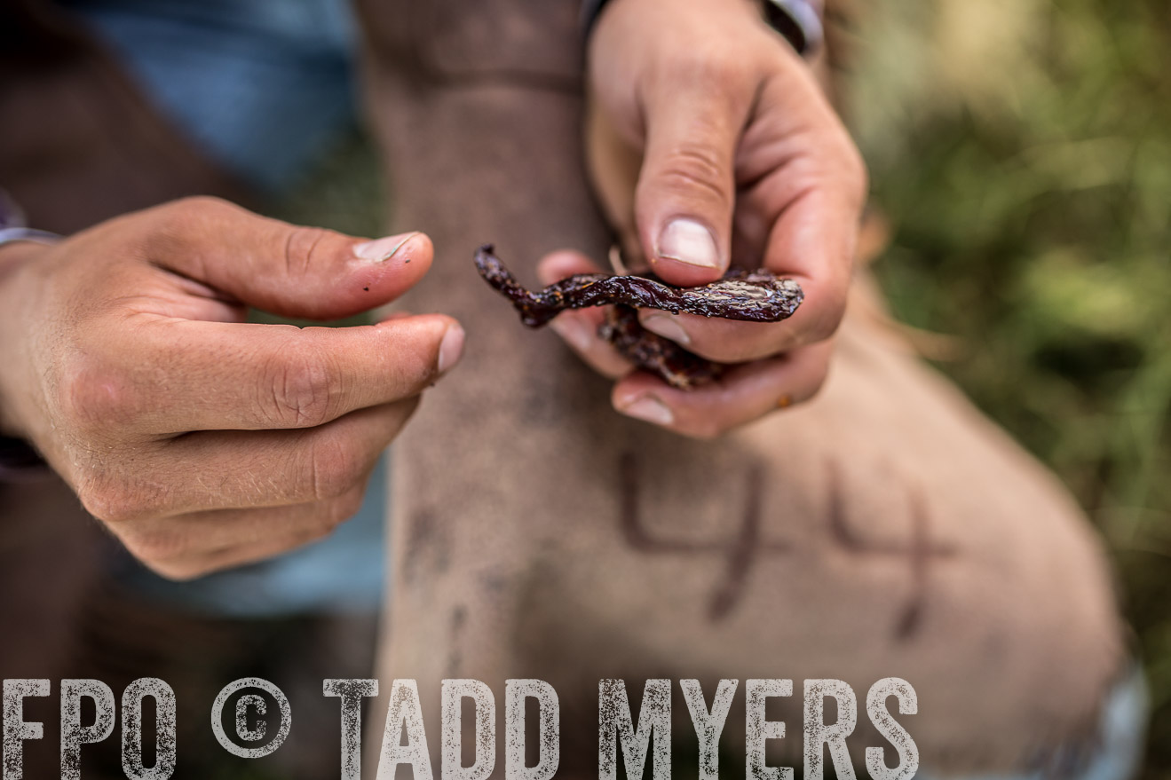 TMyers_CameronTX_June2016-8844