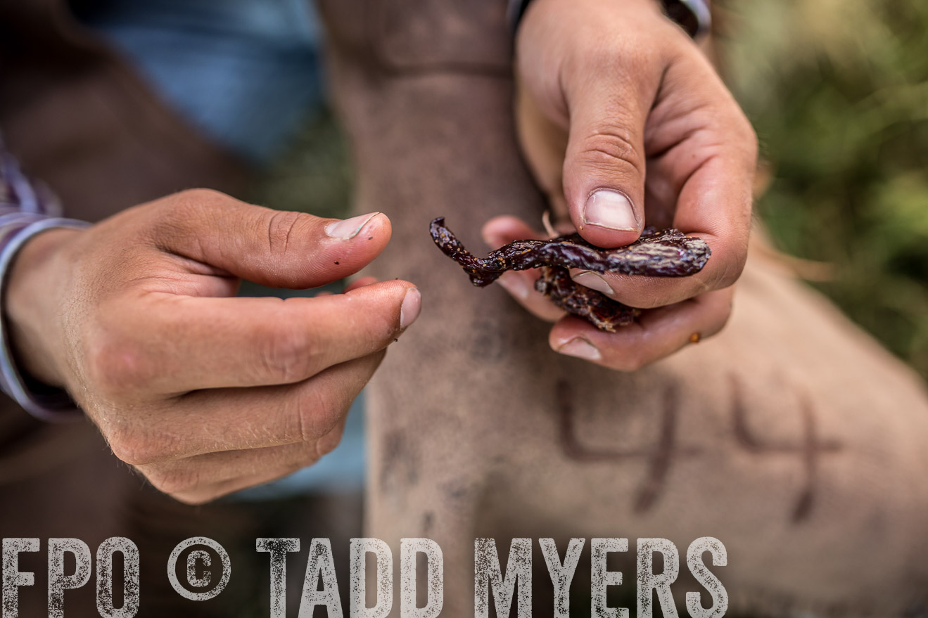 TMyers_CameronTX_June2016-8847